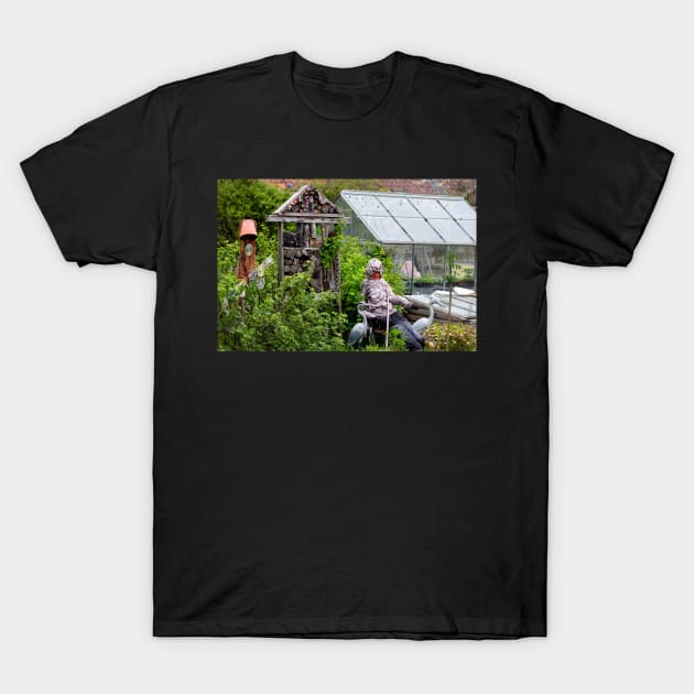 Helmsley T-Shirt by jasminewang